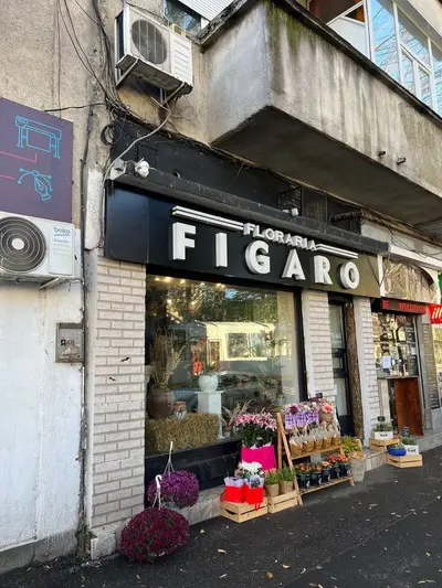 Spatiu comercial Pache Protopopescu