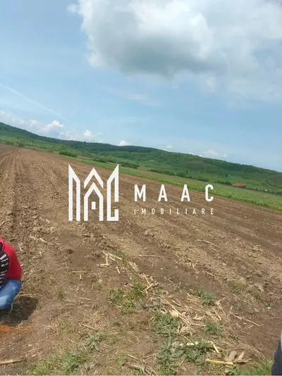 Teren extravilan de vânzare | Bradu | 10.000 mp | intabulat CF