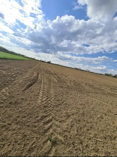 Vand teren extravilan in Martinesti