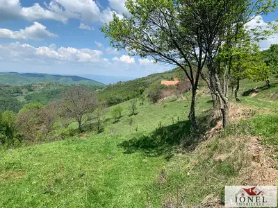 Teren extravilan 41.136 mp de vanzare in Abrud - Seliste