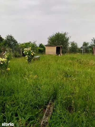 Ag EUROPA vinde teren intravilan cu toate utilitățile în Ardud.