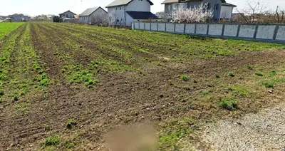 Teren cu utilitati in Magurele,Ilfov,Str.Capricornului