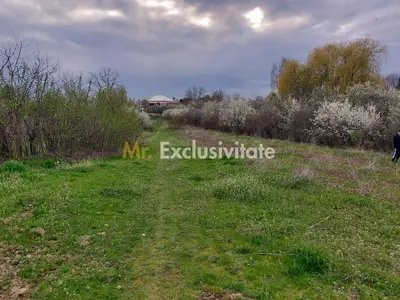Teren Topoloveni - 3670 mp - langa padure, aproape de Centrul orasului