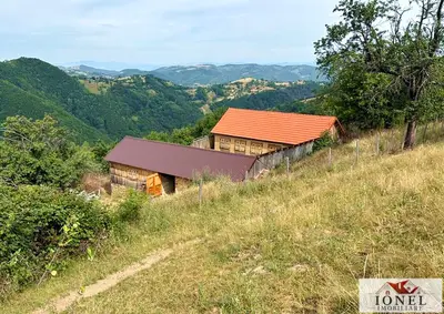 Casa de vanzare in comuna Sasciori cu 84.843 mp teren