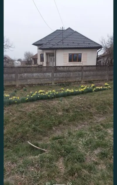 Casa Valea Vinului