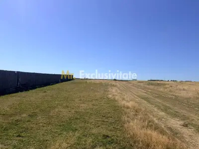 Teren Turcesti, Pitesti - 730 mp!