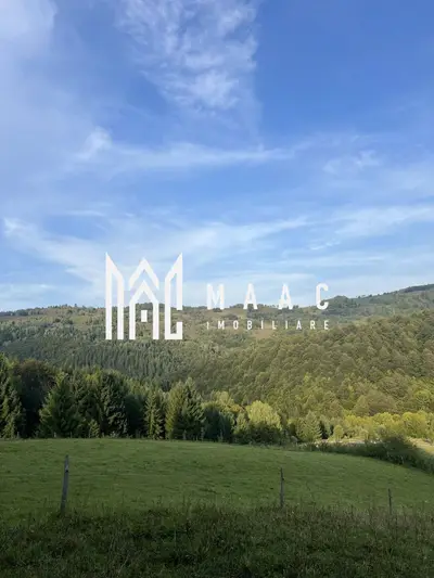 Teren Intravilan I case vechi I – Poiana Sohodol I Alba