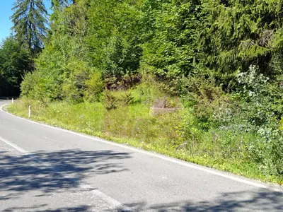 Teren de vânzare în zona Cota 1000 – Sinaia