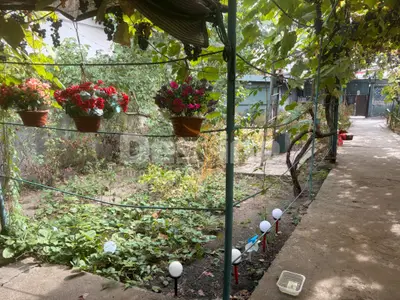 Teren cu construcții și potențial de dezvoltare | Ciupercă – Domenii
