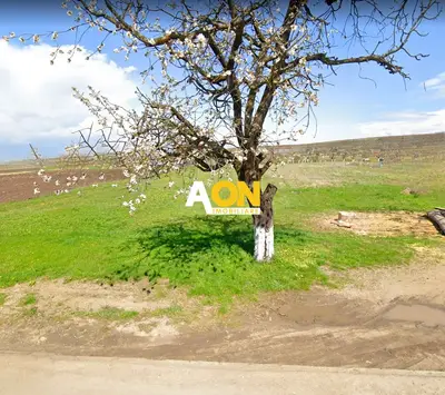 Teren intravilan, 3600 mp, la sosea, toate utilitatile, Oarda de Jos