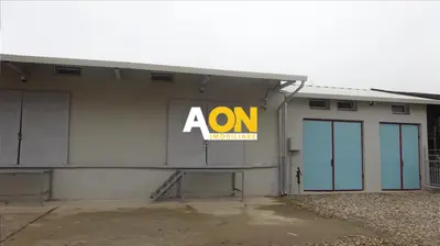 Hala de vanzare, Ampoi 3