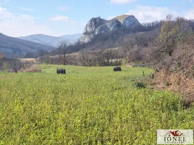 Teren de vanzare in Ampoita