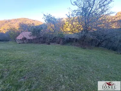 Vanzare casa cu 17399 mp teren Vintu de Jos - Valea Vintului