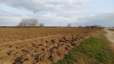 Teren de vânzare | Moara Vlăsiei | Utilități în zonă