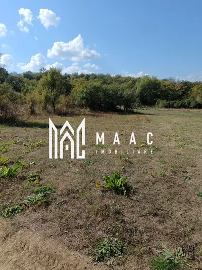 Teren 1000 mp, județul Sibiu, localitatea Amnas, pretabil A frame