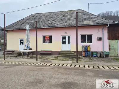 Casa de vanzare in Zlatna-Trimpoiele
