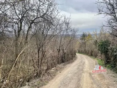 De vânzare tern în Tg Mureș -Platou