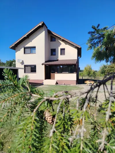 Ploiesti Aricestii Rahtivani Buda