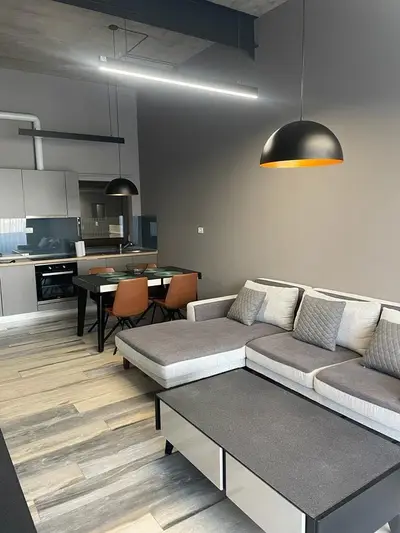 Apartament 2 camere /Stil Loft -Industrial/ Zona Balta Verde