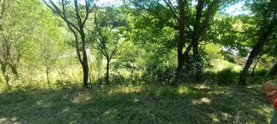 De vânzare loc de casă în Ortelec – 1.400 mp, toate utilitățile