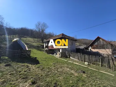 Casa de Vacanta 2 Camere, Strada Morilor Zlatna