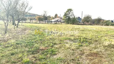 Teren intravilan – 1.135 mp, sat Crampotani, com. Merisani