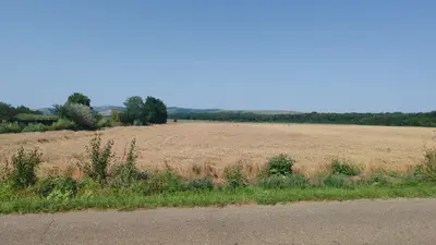 Teren extravilan Balteni, Vaslui, la limita intravilanului