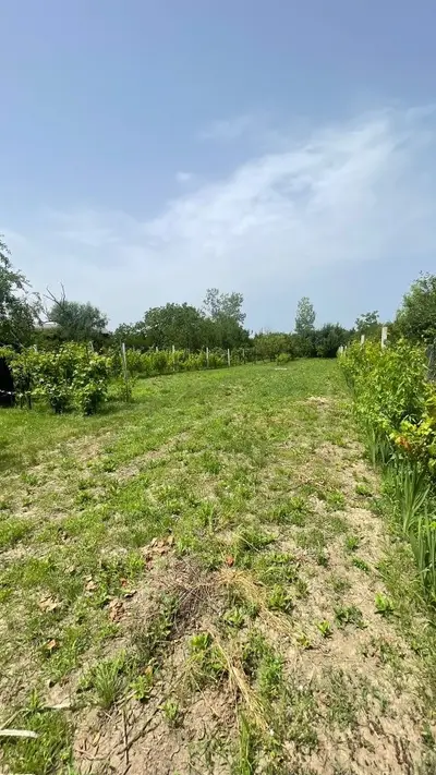 Vând teren intravilan, Str Dealului 64 - 936 mp,front stradal 13.4 m