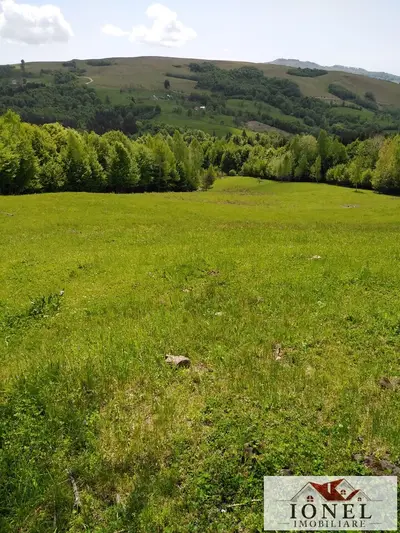 Teren in suprafata de 41.136 mp de vanzare in zona Abrud