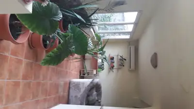 Casă individala cu etaj, având 2 apartamente separate în Timișoara