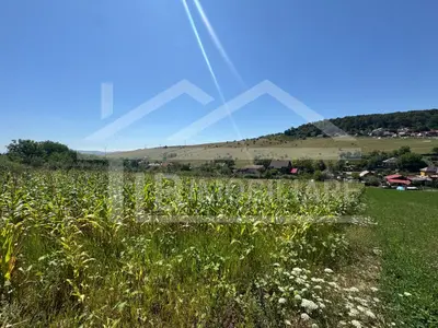 Teren, 1734mp, intravilan, zona Remetea