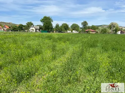 Teren intravilan de vanzare in Sard