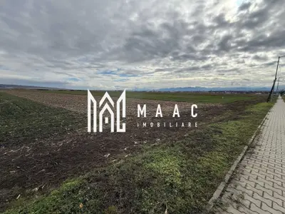 Teren intravilan | 9600 mp | Șură Mică | Utilități | Drum Asfaltat