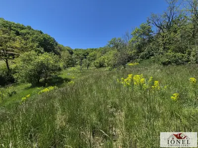 Teren de vanzare in Vintu de Jos