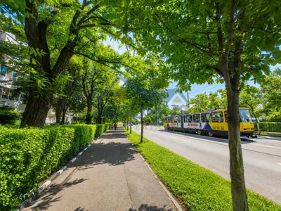 Apartament 3 camere | Șoseaua Nordului | Etaj 3/4 | Centrală proprie