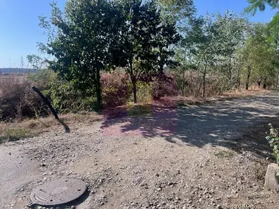 Teren Cornetu Strada Magnoliei- Pinului.