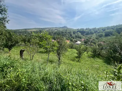Teren intravilan de vanzare in Metes - Ampoita