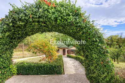 Casa individuala + teren 2.014 mp + livada Mioveni -Colibasi