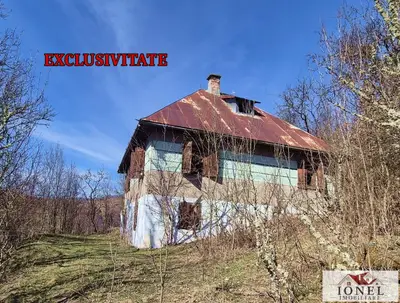 Casa de vanzare in Bistra - Apuseni