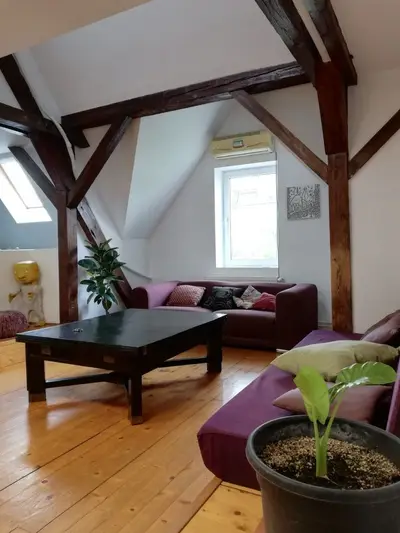 Apartament 4 camere | 175 mp | Bulevardul Victor Babeș | Ideal pentru