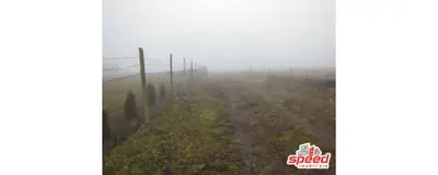 De vânzare teren în Tg. Mureș - Budiului