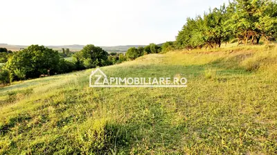 Teren Intravilan,5.000mp cu utilităti si proiect casă 12e mp