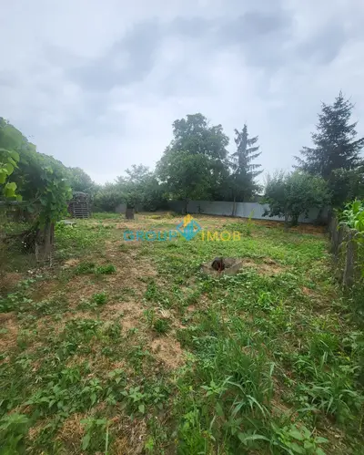 TEREN Gherăiești