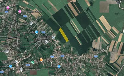 Cel mai bun pret din zona - 12 euro/mp