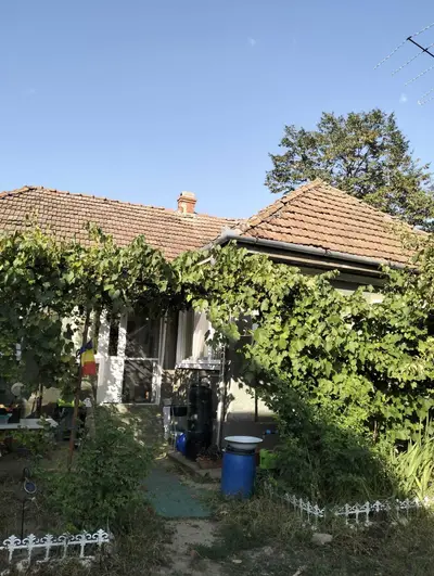 Casa 81mp, teren 81 ari, anexe, pomărie tânără de meri de vânzare