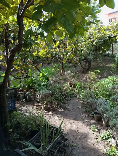 Casă și teren zonă ultracentrală,560 000 euro