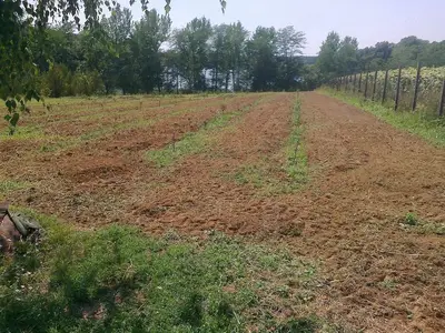 Teren intravilan | Langa lac si padure | Ciolpani
