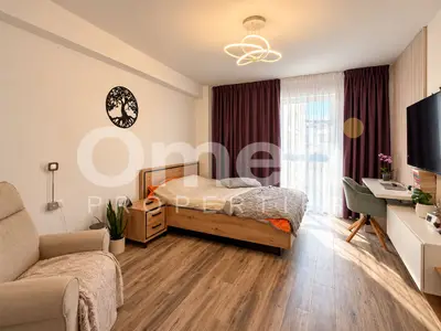 Apartament 1 camera | str. Victoriei (Casa Crișan) | Pet friendly | loc de parcare