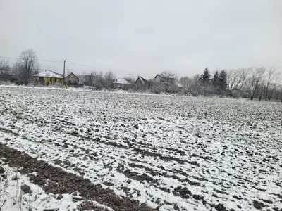 teren intravilan Baicoi