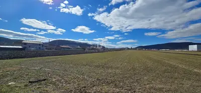Teren 6607 Mp, Albesti, judet Mures